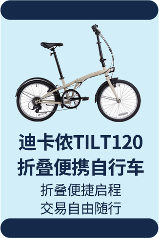 portable bicycle